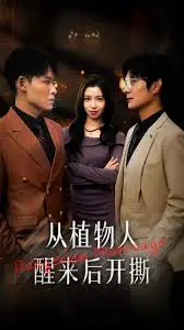醒来就开撕！《从植物人醒来后开撕》：爆笑复仇爽剧，看她如何逆袭人生！