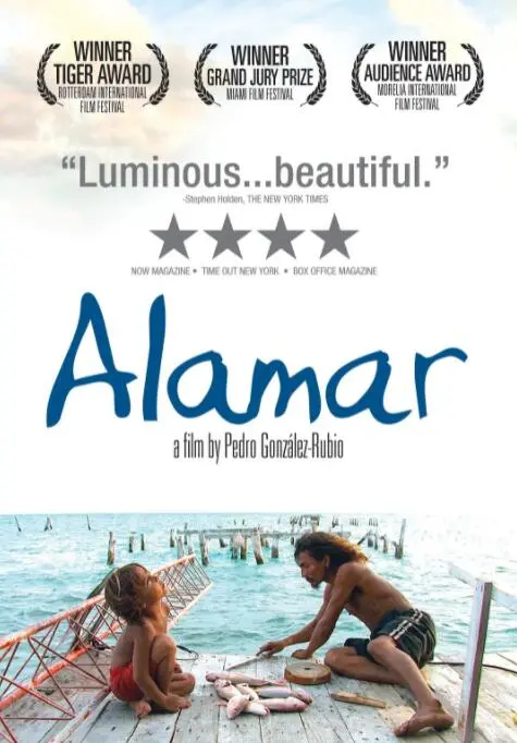 《拥抱大海》：治愈心灵的海洋之旅，探索生命真谛与人性的光辉！